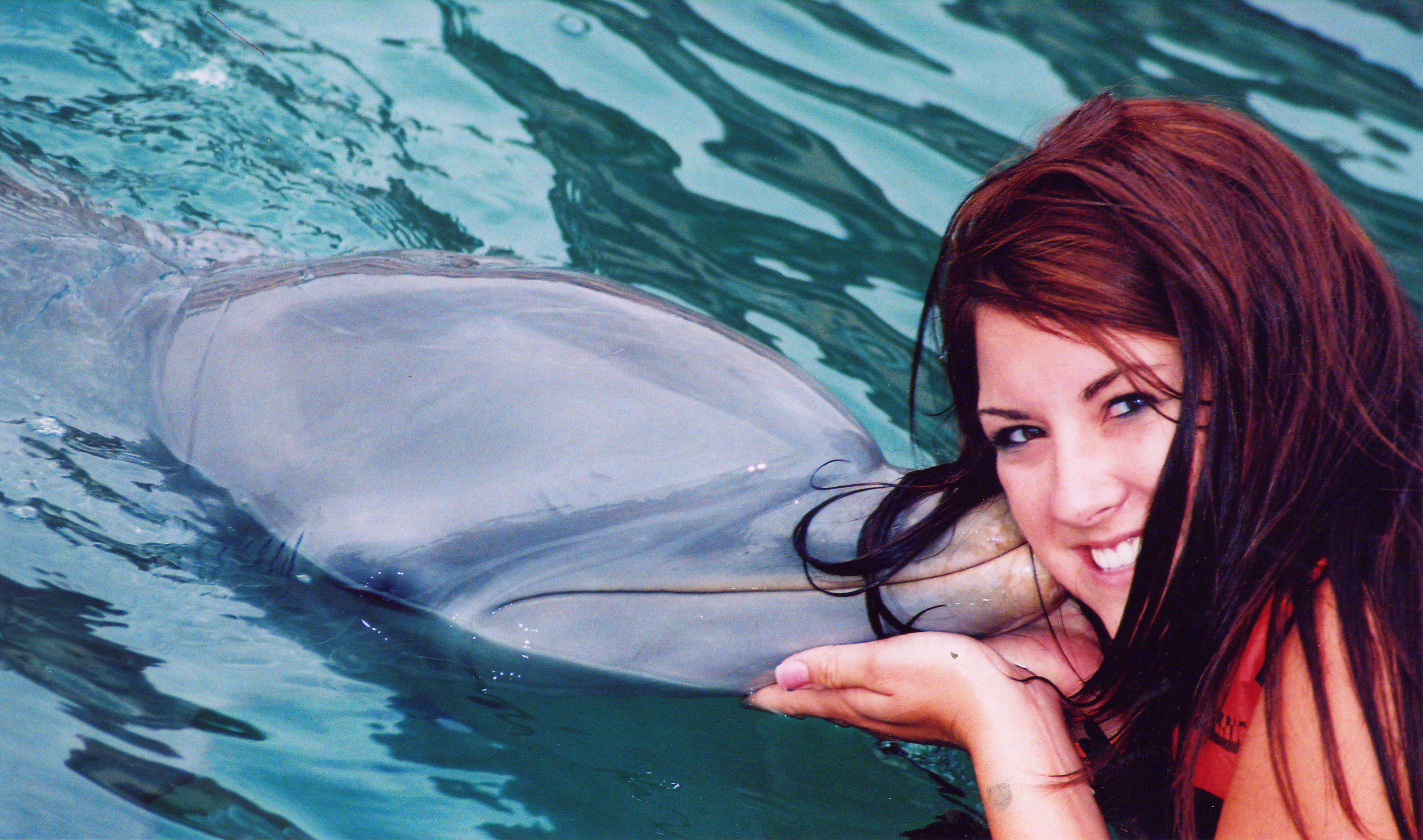 Beth swimming with dolphins