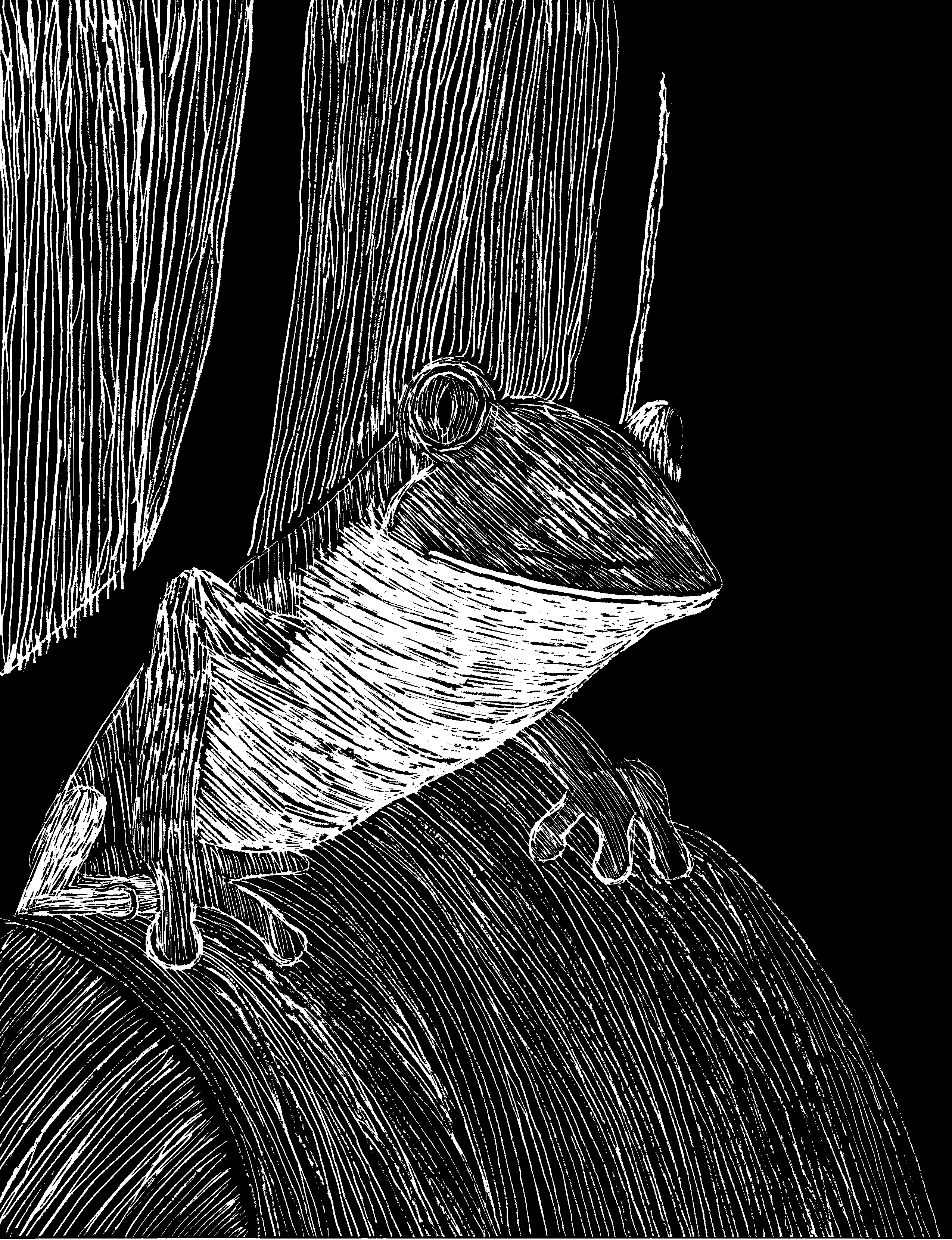 Frog