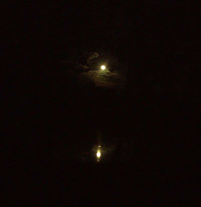 Moon over the pond