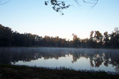 Foggy morning