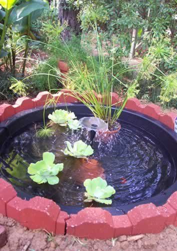 Water garden at the old house